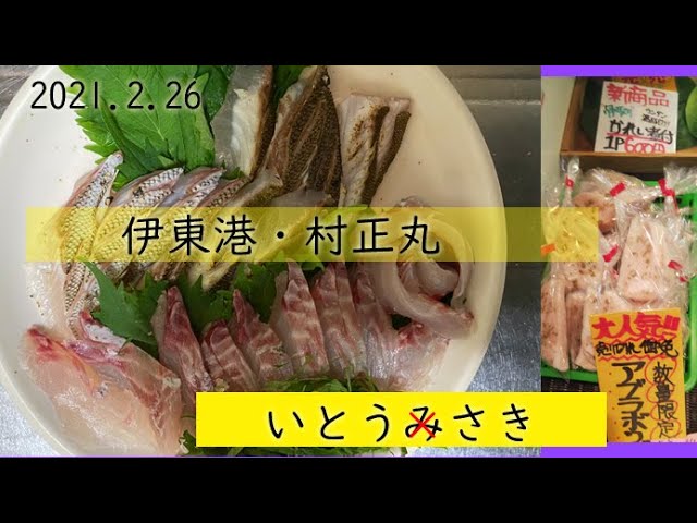 21 2 26 伊東港 村正丸 21 イサキシーズン突入視察 Youtube