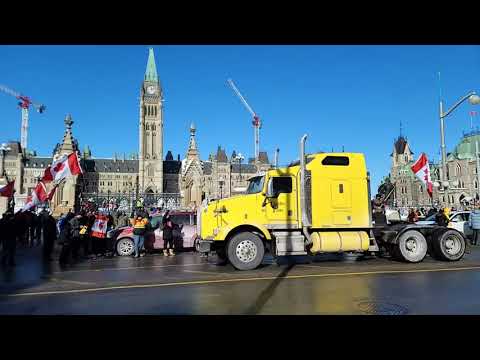 «Freedom Convoy» arrives in Ottawa — live broadcast