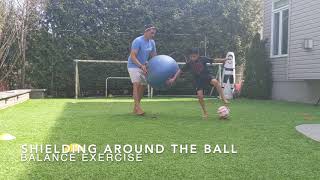 Exercise Ball Strength and Balance Workout: Shielding Around The Ball screenshot 4
