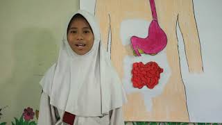 Video Pembelajaran Tematik Kelas 5 : Pentingnya Makanan Sehat