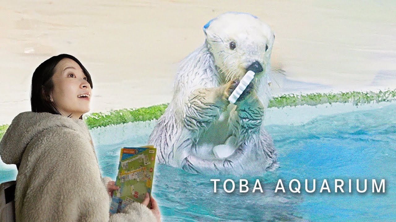 【三重・鳥羽水族館Vlog】日本唯一のラッコ・ジュゴンに会おう🦦グルメ＆お土産