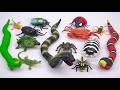 2 Hours ZURU Robo Alive Insects ASMR 🦎 King Cobra Snake, Bee, Lizard, Frog, Worm