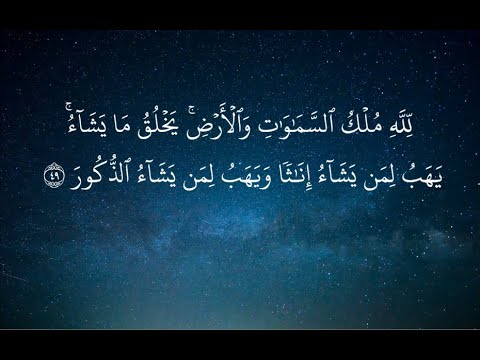 ل ل ه م ل ك الس م او ات و ال أ ر ض ي خ ل ق م ا ي ش اء وديع اليمني تلاوة خاشعة سورة الشورى