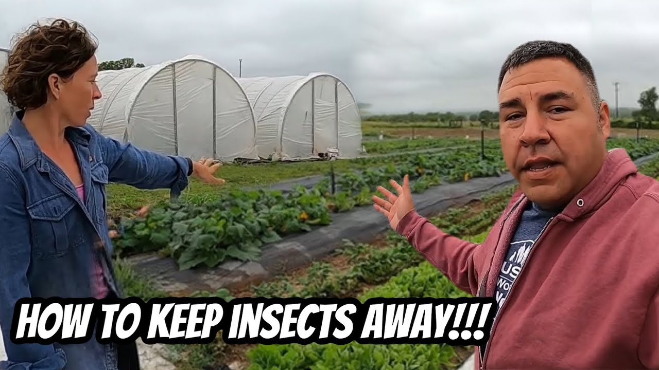 101 Information On Growing And Harvest Vegetables On A Greenhouse Tour | What Tools To Use.