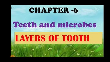 SCIENCE||CLASS-4||CHAPTER-6||TEETH AND MICROBES||LAYERS OF TOOTH