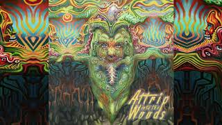 UkaUka - Warped (Attrip Remix)