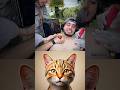 I&#39;m not going to get tattoos again 💀 #cat #meme #dance #trending