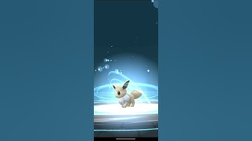 Evolving Sparky (Eevee; Shiny Form) into Jolteon in Pokémon GO