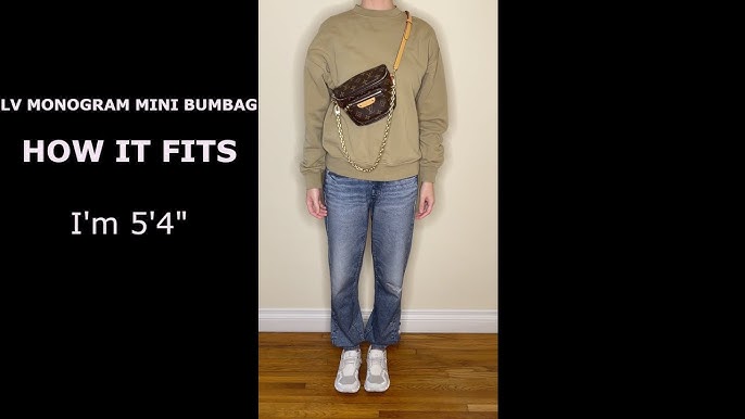 mini bumbag louis vuitton what fits｜TikTok Search