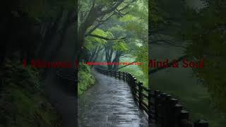1 Minutes to Calm Mind &amp; Soul #shorts #shortvideo #youtubeshorts #trending