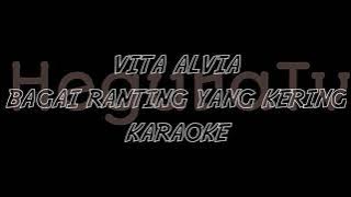 Vita Alvia - Bagai Ranting Yang Kering ( Versi Karaoke )