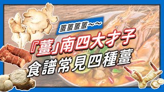 【香料QA#25】「薑」南四大才子｜沙薑、良薑、乾薑、南薑 ... 