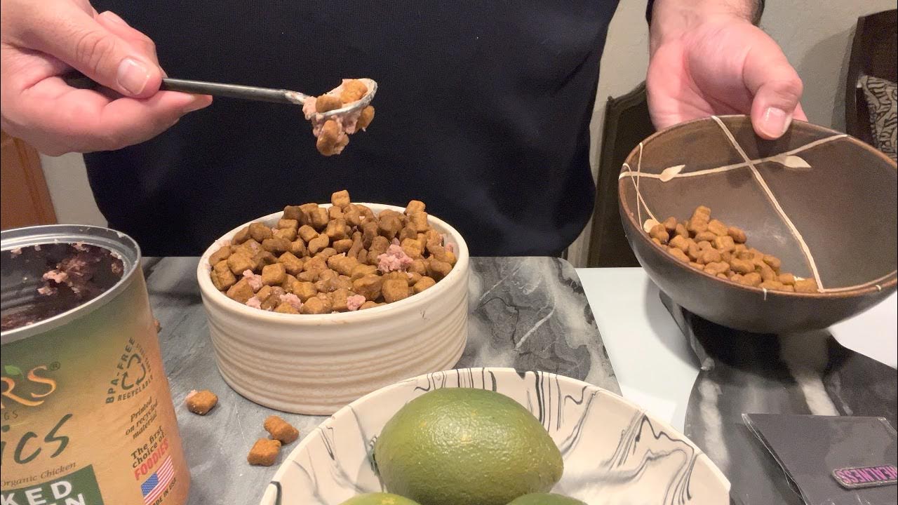 WORLDS BEST DOG FOOD TO BULK UP YOUR DOG YouTube