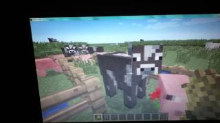 élevage d'animaux minecraft