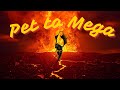Wizard101: Pet to Mega "Is Storm the Superior School?" (Ep. 1)