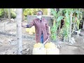 KAKISHA CAR WASH COMMERCIAL KAKISHA CAR WASH COMMERCIAL