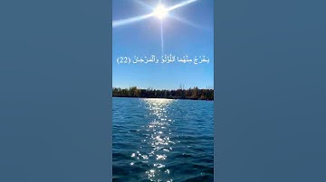 #قرآن #قران_كريم #تلاوة_خاشعة #تلاوة_هادئة #راحة_نفسية #tilawat