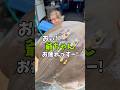 ゴロンジ⁉️この生き物は本当に『サメ』なのか😂⁉️ #船長の日常 #淡路島
