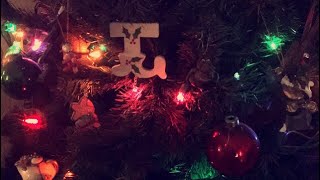 VLOGMAS Day 16|iHop&Christmas lights @MandieJean97