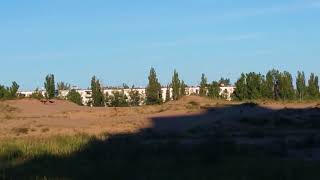 Собаки напали на ребёнка Собаки напали на ребёнка