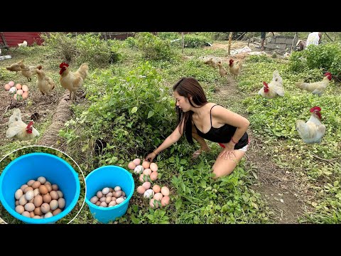 Video: Paano Bumili ng Organic na Pagkain sa China