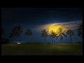 Pieces of a Dream  - Nikki's Smile
