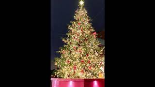 The Christmas Song  (jazz piano)