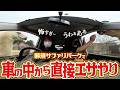 車の中から直接動物たちにエサをあげられる那須サファリパークがホラゲーすぎたwww【愛の戦士/とりっぴぃ/はたさこ/ポン酢野郎】