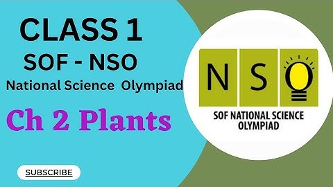 Class 1/SOF-NSO/Ch2 Plants #class1nso #class1sof #class1olympiad #class1cbse #class1science