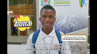 Kio estas via impreso pri UK? @UEAviva @tejoesperanto  #esperanto