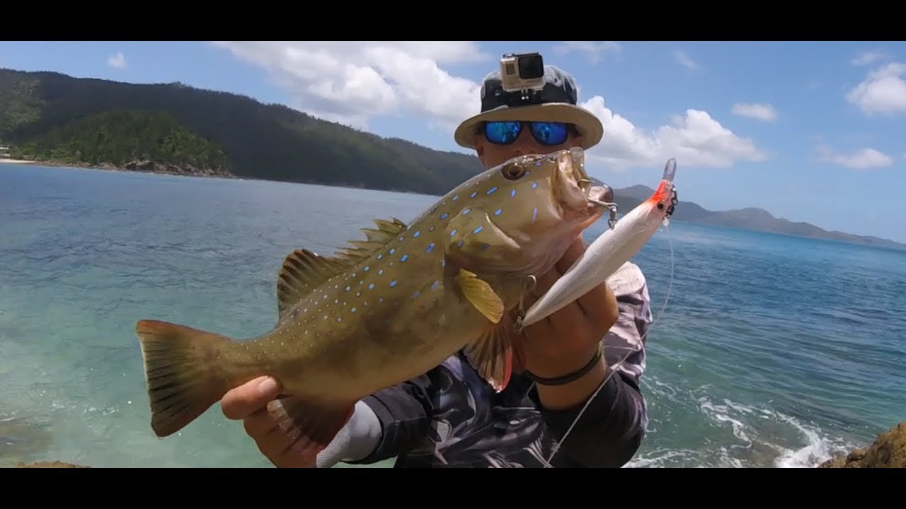 Big Coral Trout, Land Based Fishing, Island hopping Queensland YouTube