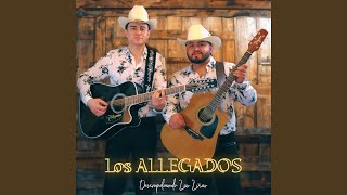 Belico El Asunto (Tolin Infante) - Los Allegados