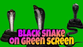 Black snake green screen _ naagin 3 Vikrant snake green screen