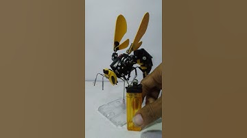 miniatures bee from lighter use oil botlle,,so cooll