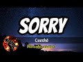 SORRY - CUESHE (karaoke version)