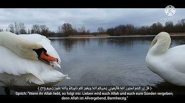 سورة آل عمران كاملة Sure Al-Imran vollständig, Verse (1--200).