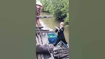 Em gái cà mau, có ai thương em không