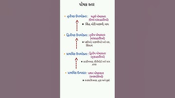 આપણું પર્યાવરણ# પોષકસ્તર# સરળતાથી યાદ રાખો # ધોરણ- 10#વિજ્ઞાન # education # shorts