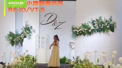 ACEMIC RE10/VT-5 wireless microphone for Violin