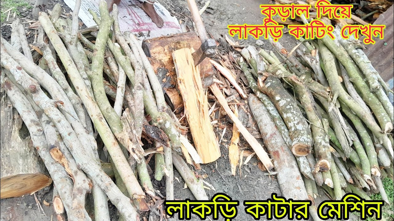 লাকড়ি কাটার মেশিন। কুড়াল দিয়ে লাকড়ি কাটিং দেখুন। Firewood cutting। lakri cutting। viral video 