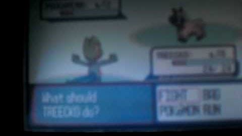 Second Uncatchable Shiny Poochyena