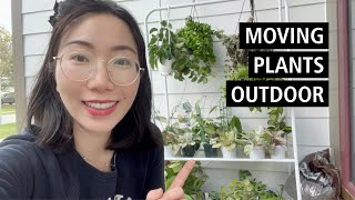 Moving Houseplant Outdoors for Summer | Mini Hoya Tour | Mites Treatment | DOBA Plant Shelf Unboxing