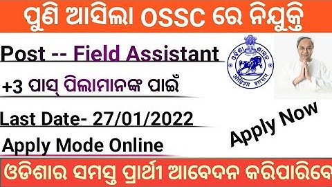 Field Assistant Recruitment || ossc field Assistant Recruitment || +3pass Job vacancy | Odisha job