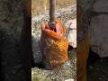 Eel fish hunting by hook 🎣 amazing fishing moments 🎣 #eel #eelfish #electriceel #fishing #reels