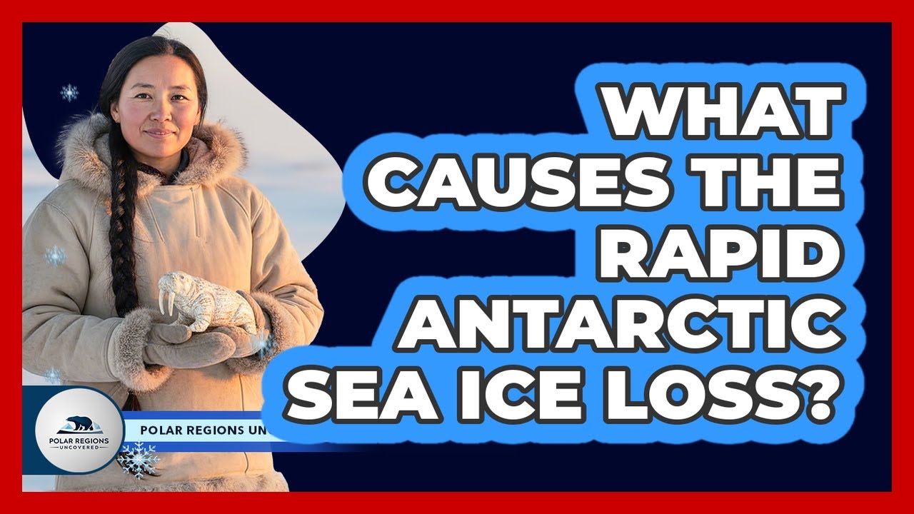 What Causes The Rapid Antarctic Sea Ice Loss?