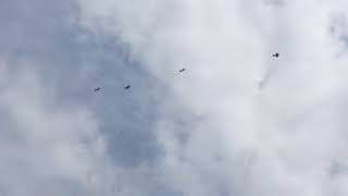 Hammer head maneuver