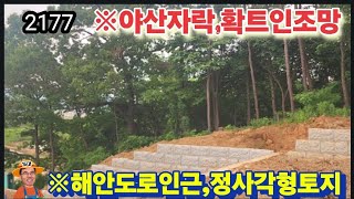 ※민물낚시+바다낚시,가까운곳 #강화도토지 #강화도땅 #강화도농막 #강화도부동산 #강화도전원주택 #강화도농가주택 #김포토지 #강화임야 #부성부동산Tv