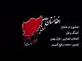وطن زخمی