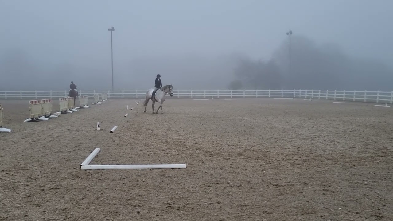 Xena Sinai 2 15/02/26