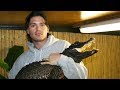 Croc Man - Shaun Foggett 🐊 | Living With Crocodiles Documentary | Natural History Channel